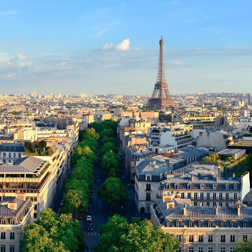 paris-rooftop-view-skyline-eiffel-tower-france_649448-2544